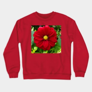 Red Bloom Photography My Crewneck Sweatshirt